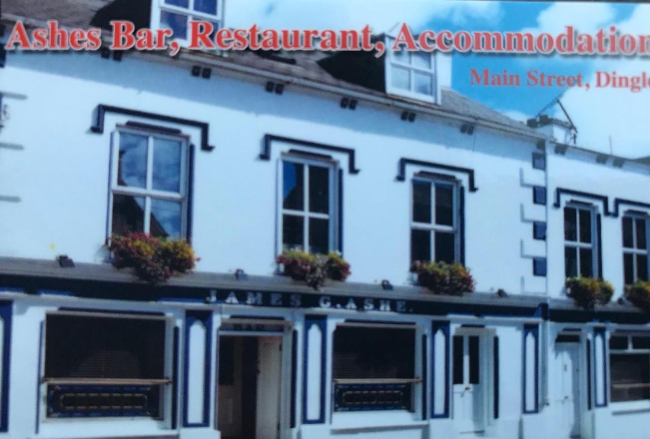 Ashes Seafood Restaurant Accommodation Dingle Exterior photo